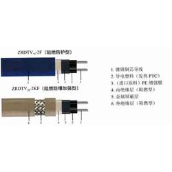 食品技术研发与计算机系统集成的融合应用